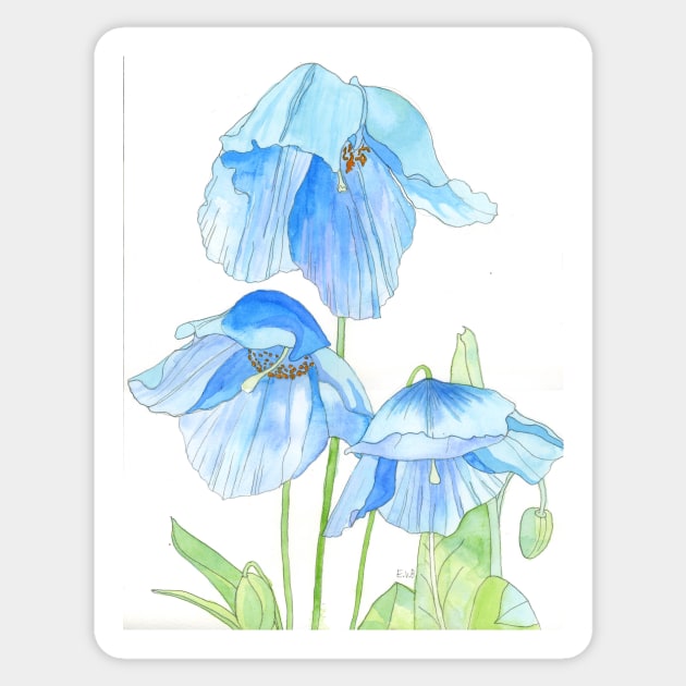 Blue Poppies watercolour painting Sticker by esvb